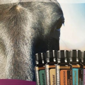 Equine Essential Touch Technique online training